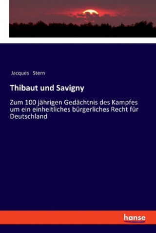 Kniha Thibaut und Savigny Jacques Stern