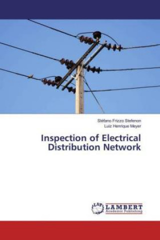 Kniha Inspection of Electrical Distribution Network Stéfano Frizzo Stefenon