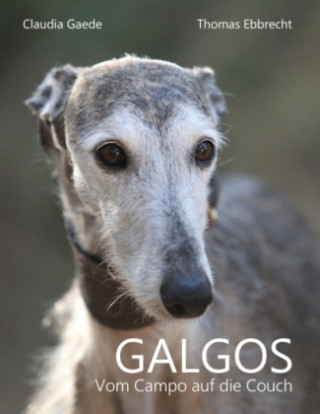 Buch Galgos Claudia Gaede