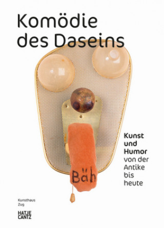 Kniha Komoedie des Daseins (German Edition) Matthias Haldemann