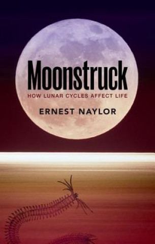 Könyv Moonstruck Naylor