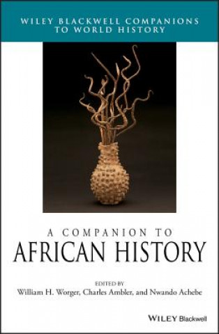 Kniha Companion to African History William Worger