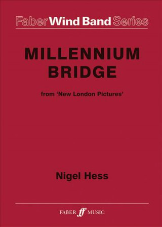 Kniha Millennium Bridge Nigel Hess