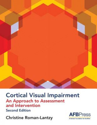 Kniha Cortical Visual Impairment - Approach to Assessment Christine Roman-Lantzy