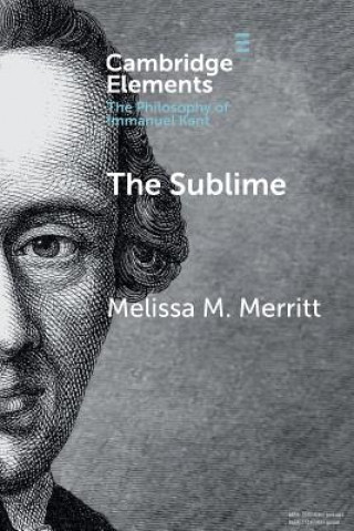 Buch Sublime MERRIT  MELISSA MCBA