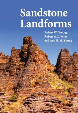 Książka Sandstone Landforms Robert W. Young