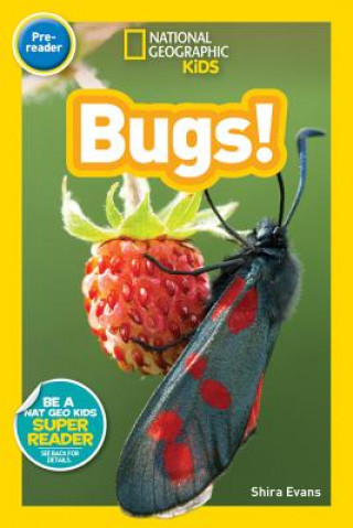 Книга National Geographic Kids Readers: Bugs Shira Evans