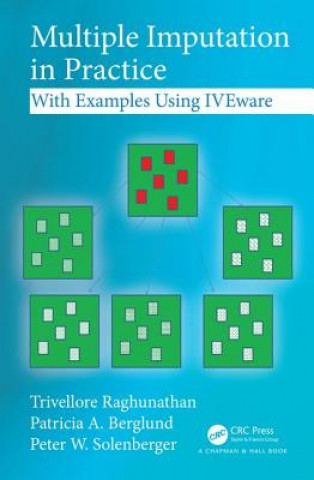 Book Multiple Imputation in Practice Raghunathan