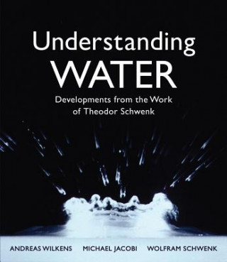 Kniha Understanding Water Andreas Wilkens