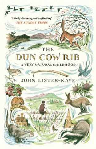 Kniha Dun Cow Rib John Lister-Kaye