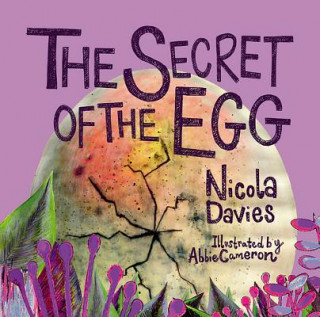 Carte Secret of the Egg Nicola Davies