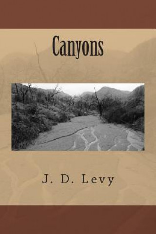 Knjiga Canyons J D Levy