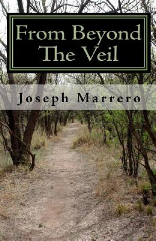Carte From Beyond The Veil Joseph Marrero