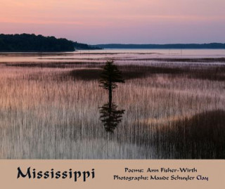 Kniha Mississippi Ann Fisher-Wirth