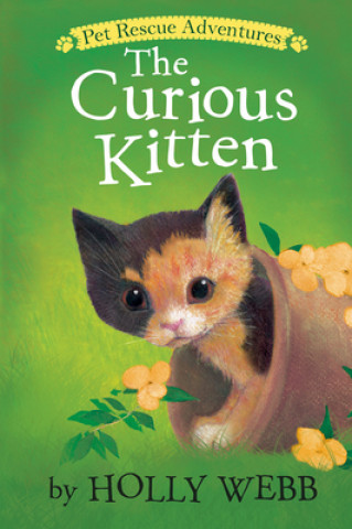 Könyv Curious Kitten Holly Webb