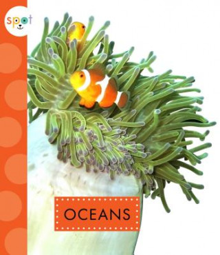 Libro Oceans K C Kelley