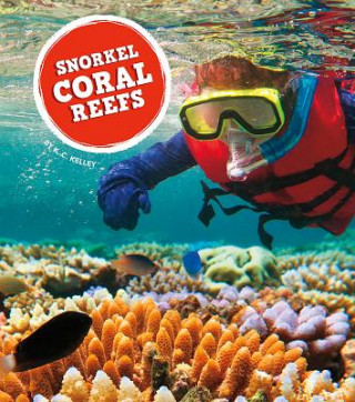 Książka Snorkel Coral Reefs K C Kelley