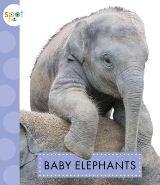 Книга Baby Elephants K C Kelley