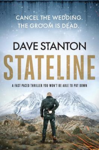 Knjiga Stateline Dave Stanton