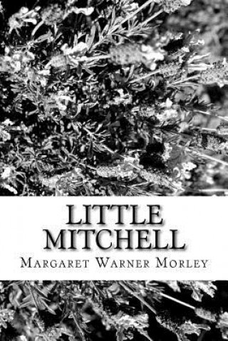 Книга Little Mitchell Margaret Warner Morley