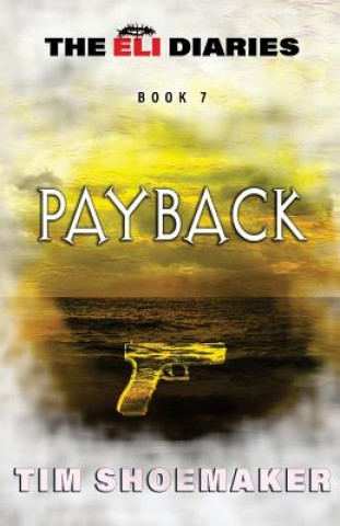 Book Payback Tim Shoemaker
