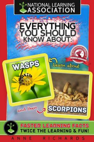 Kniha Everything You Should Know About Wasps and Scorpions Anne Richards