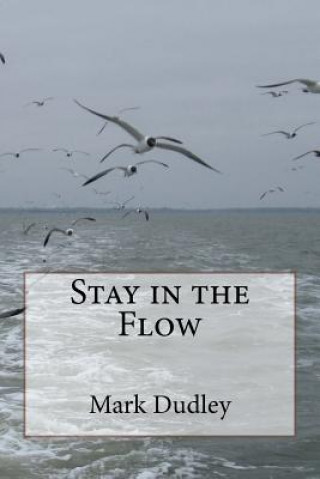 Könyv Stay in the Flow Mark Dudley