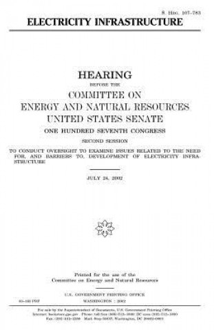 Buch Electricity infrastructure United States Congress