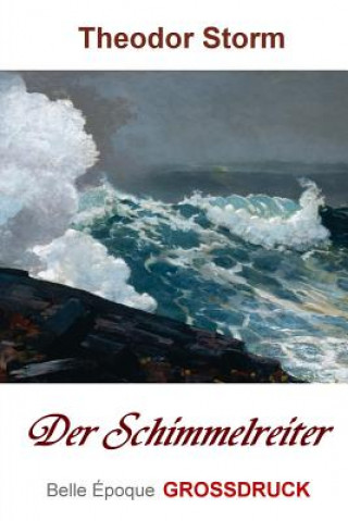 Kniha Der Schimmelreiter - Grossdruck Theodor Storm