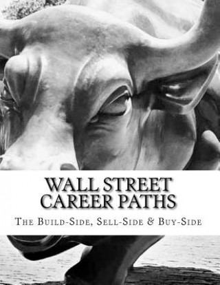 Kniha Wall Street Career Paths Michael Herlache