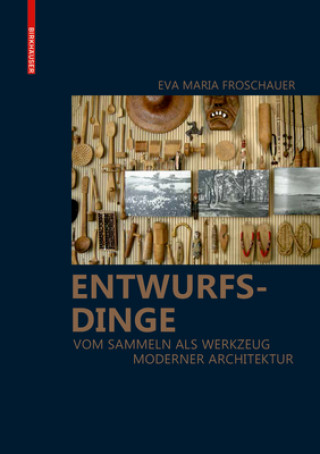 Könyv Entwurfsdinge Eva Maria Froschauer