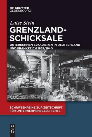 Kniha Grenzlandschicksale Luise Stein