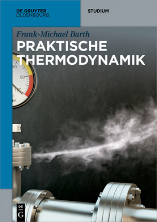 Kniha Praktische Thermodynamik Frank-Michael Barth