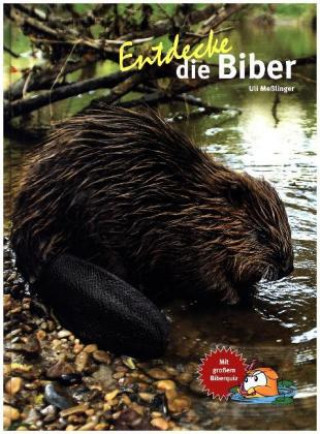 Kniha Entdecke die Biber Ulrich Meßlinger