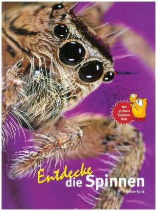 Könyv Entdecke die Spinnen Kriton Kunz