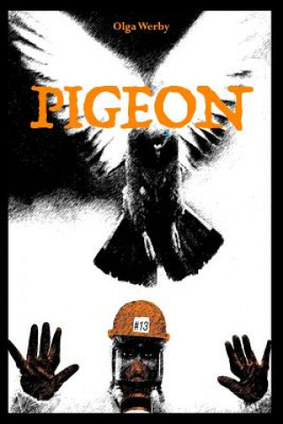 Buch Pigeon Olga Werby