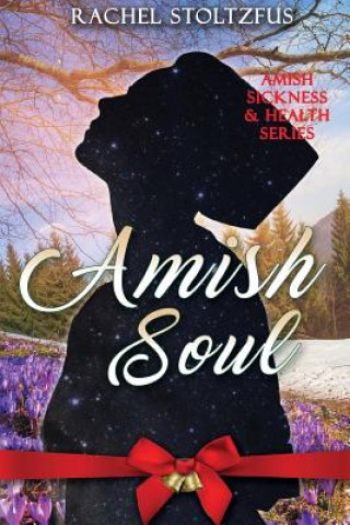 Kniha Amish Soul Rachel Stoltzfus