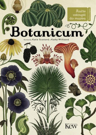 Book Botanicum Jenny Broomová