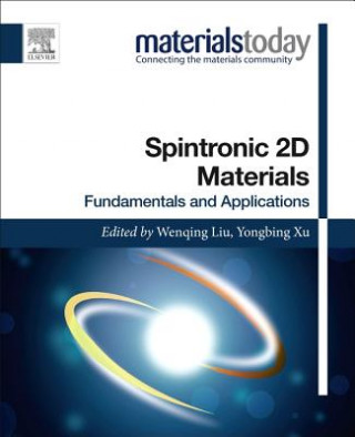 Buch Spintronic 2D Materials Wenqing Liu