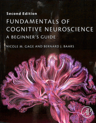 Kniha Fundamentals of Cognitive Neuroscience Nicole Gage