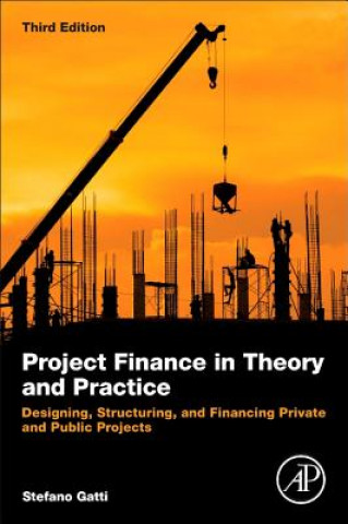 Kniha Project Finance in Theory and Practice Stefano Gatti