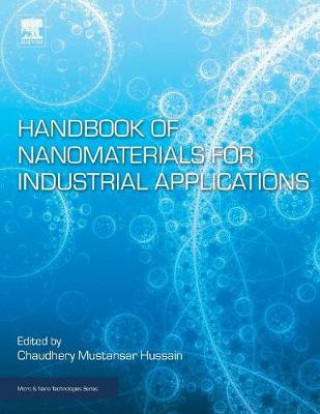 Kniha Handbook of Nanomaterials for Industrial Applications Chaudhery Mustansar Hussain