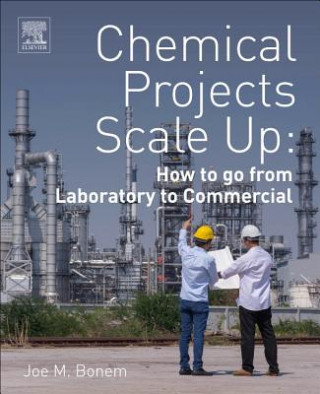 Book Chemical Projects Scale Up Joe Bonem