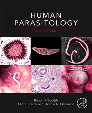 Kniha Human Parasitology Burton Bogitsh