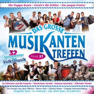 Audio Das grosse Musikantentreffen. Folge.37, 1 Audio-CD Various