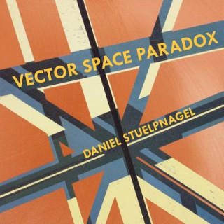 Boek Vector Space Paradox Daniel Stuelpnagel