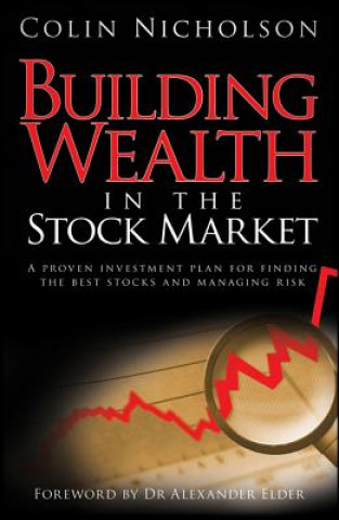 Libro Building Wealth in the Stock Market Colin Nicholson