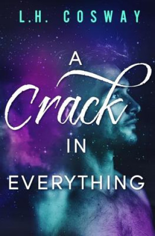 Book A Crack in Everything L H Cosway