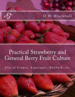 Kniha Practical Strawberry and General Berry Fruit Culture: Also of Grapes, Asparagus, Rhubarb, etc. O W Blacknall