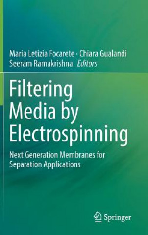 Kniha Filtering Media by Electrospinning Maria Letizia Focarete